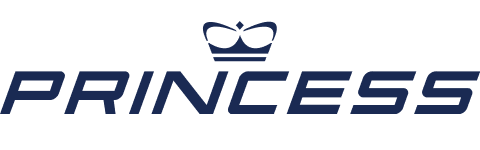 princess logo